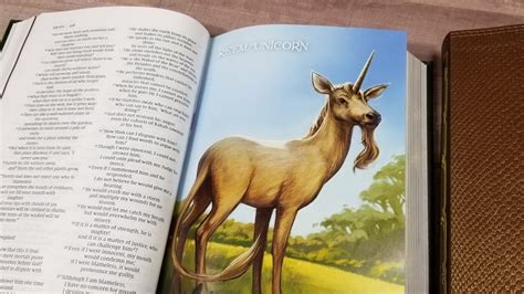 Niv Incredible Creatures And Creations Holy Bible Review Bible Buying