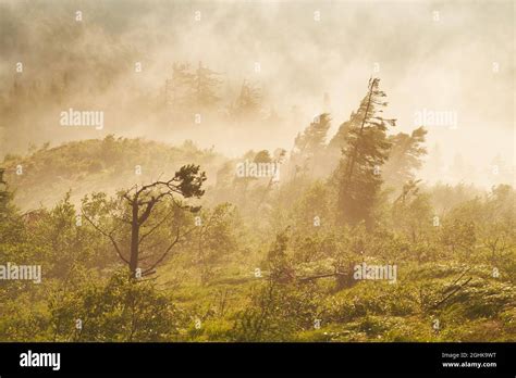 Atmospheric sunrise in Cozia mountain, Romania Stock Photo - Alamy