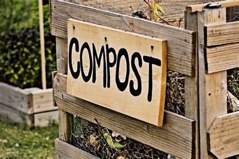 Come Costruire Una Compostiera Fai Da Te Da Giardino In Legno O Con