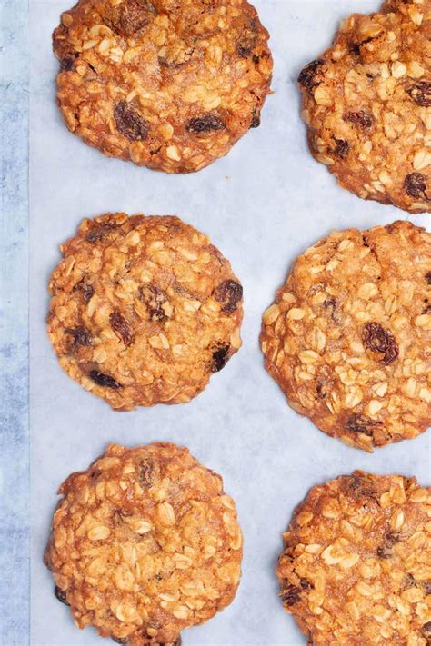 Vegan Oatmeal Raisin Cookies