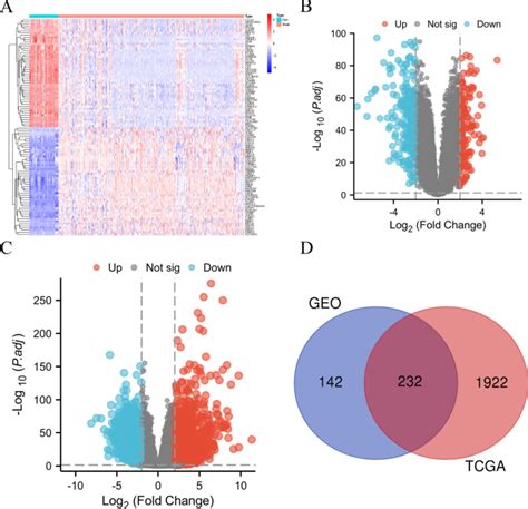 Accurate Prediction Of Colorectal Cancer Diagnosis Using Machine