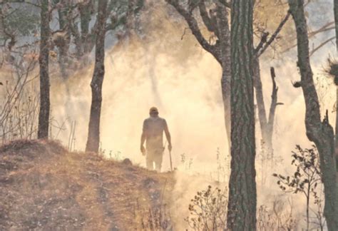 Controlan El Incendio En El Calvario Pero El De Llanos Llega A 1