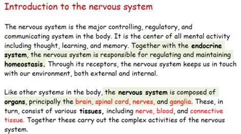 Nervous System Flashcards Quizlet