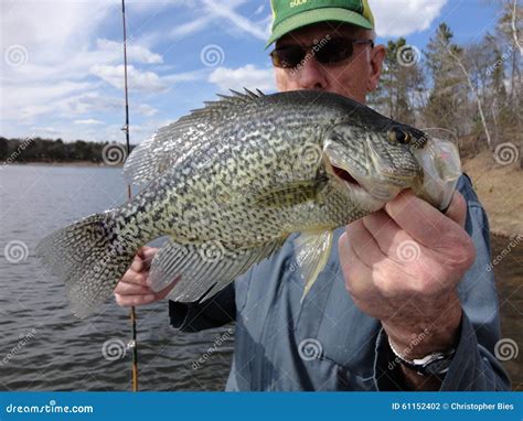 crapet  stock telechargez   libres de droits