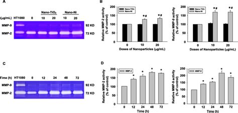 Dose And Time Dependent Induction Of Mmp 2 And Mmp 9 Activities In