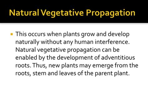 Vegetative Propagation Artificial And Natural PPT