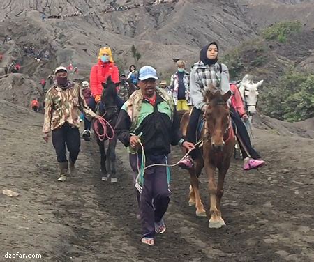 naik kuda pelopor jasa vector