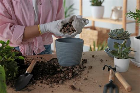 Que mettre au fond des jardinières Gamm vert