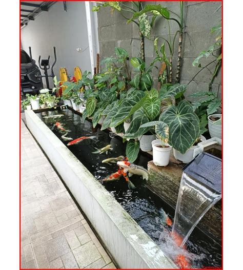 Dijual Rumah Cantik Jalan Parangtritis Sewon Lt350 Lb500 4kt 4km Di