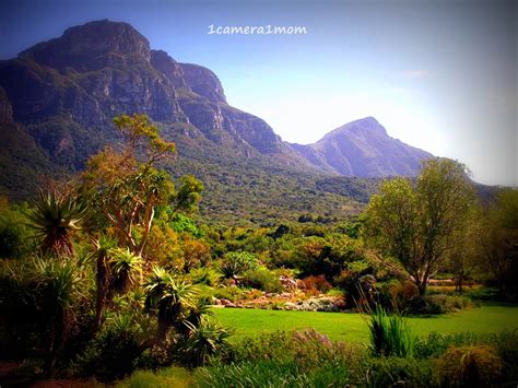 1camera1mom Kirstenbosch Cape Town Part 1