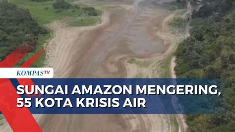 Sungai Amazon Mengering Sebabkan Kota Di Brasil Krisis Air Dan