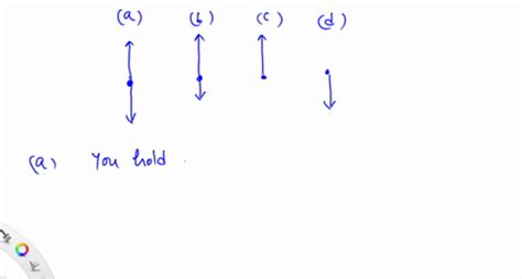 SOLVED In Figure P 3 1 You See Unlabeled Force Diagrams For Balls