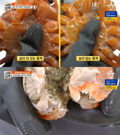 서민갑부 홍게 위치는 매출 13억 달인의 홍게 고르는 비법은