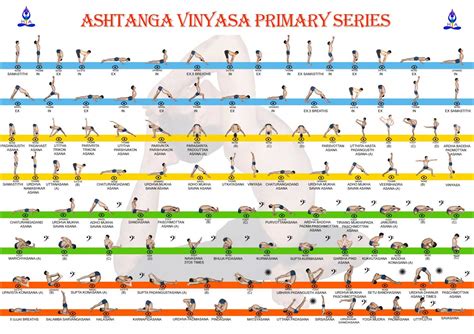 Ashtanga Vinyasa Primary Series | Asthanga Vinyasa Yoga in Nepal ...