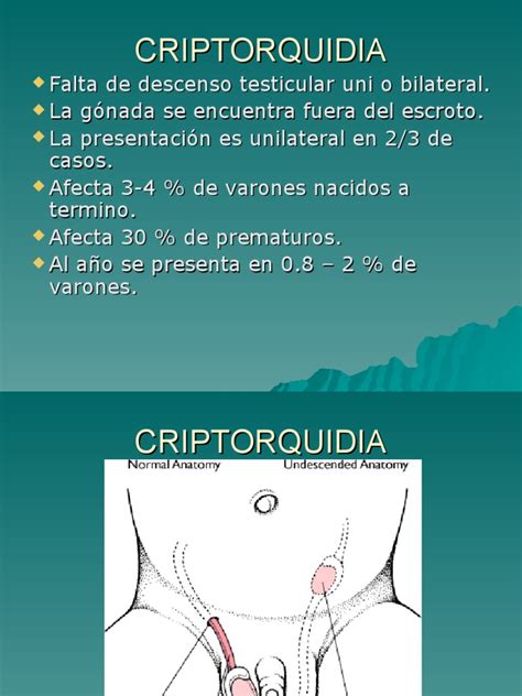 CRIPTORQUIDIA | PDF
