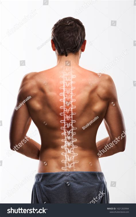 Naked Male Torso Seen Behind Stock Photo Shutterstock