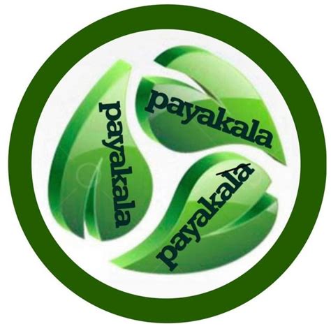 ‎BOROFONE.ARAK (نمایندگی لوازم جانبی Borofon)‎ (@payakala_ir) • Threads ...