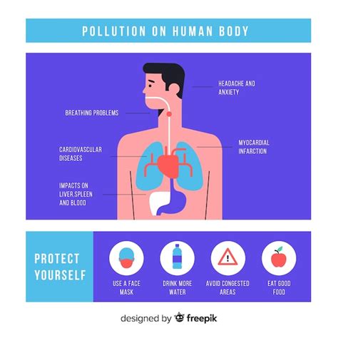 Plantilla infografía contaminación en el cuerpo humano Vector Gratis