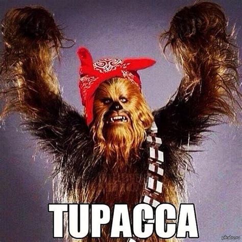 Это просто Тупака! | Пикабу