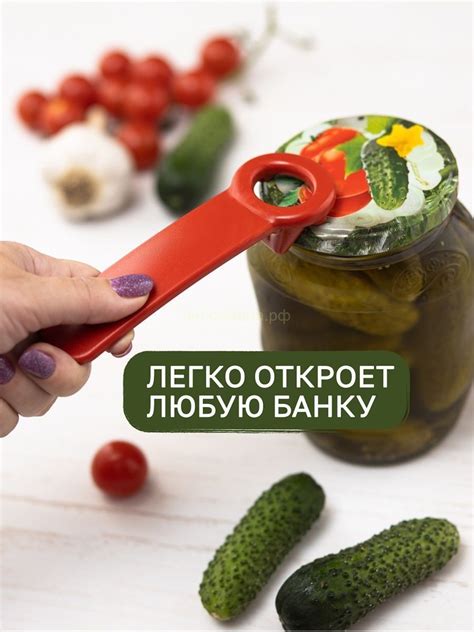 КОНСЕРВИРОВАНИЕ — Семена для Сибири