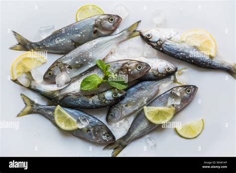 Bluefish Of Black Sea With Lemon And Mint For Marinade On White