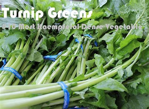 63 Kaempferol Rich Foods Ranked Hydration Monitoring Intake