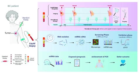 Schematic Representation Of Circulating Mirna Utility As Biomarkers For