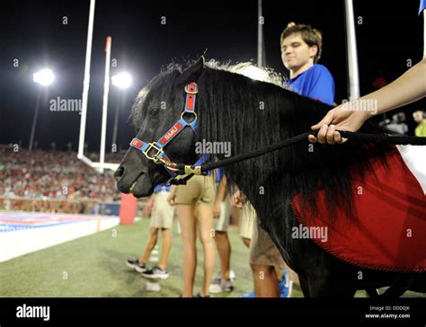 University Park, TX, USA. 30th Aug, 2013. SMU mascot Peruna during an ...