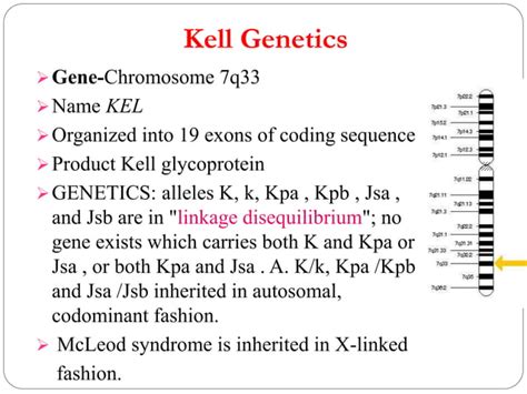 Kell Blood Group System Ppt