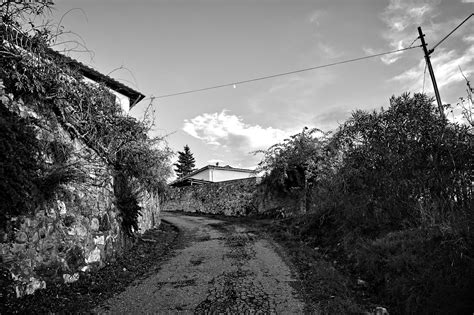 Road Houses Trees Free Photo On Pixabay Pixabay
