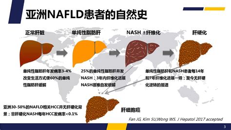 2018版非酒精性脂肪性肝病防治指南解读 word文档在线阅读与下载 免费文档