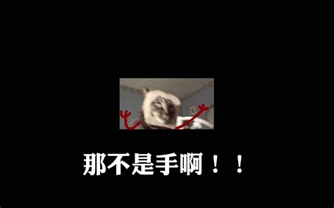 一个细节更正对不起那不是手我错了 猫子口味蜜瓜包 猫子口味蜜瓜包 哔哩哔哩视频