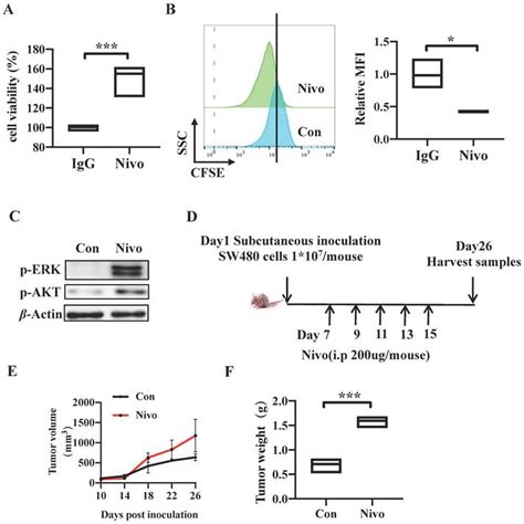 C Tropicalis Promotes Crc By Down Regulating Tumor Cell Intrinsic Pd 1