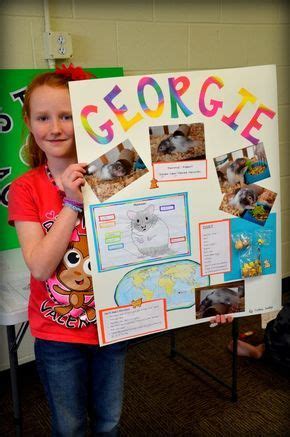 pet poster project animal projects   poster ideas science fair