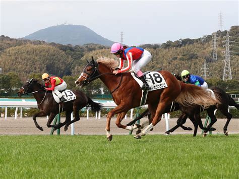 女性騎手4人そろい踏みの第2戦は永島まなみが勝利！今村聖奈に続いて女性騎手2連勝／小倉2r 競馬写真ニュース 日刊スポーツ