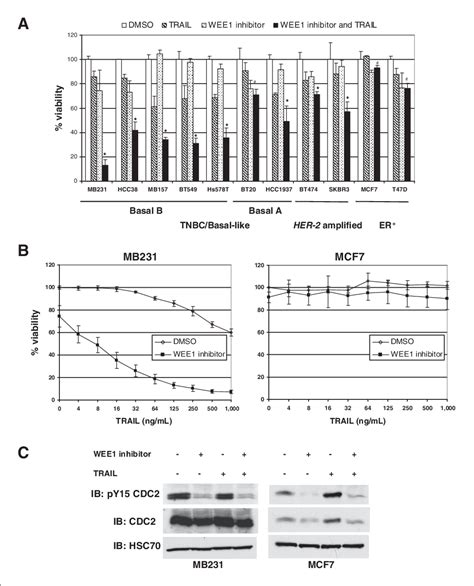 Figure 1 From WEE1 Inhibition Sensitizes Basal Breast Cancer Cells To