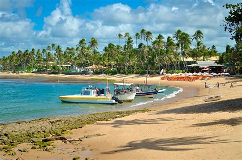 Praia do Forte Plages tortues baleines pour vos vacances au Brésil