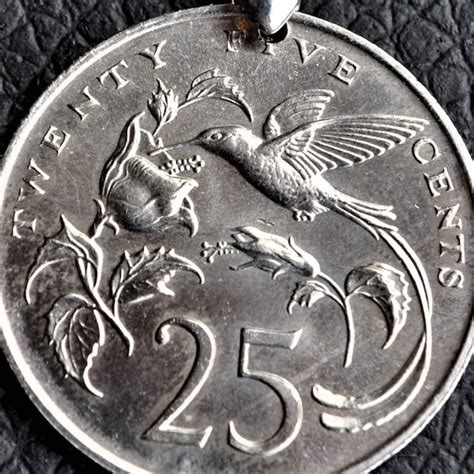 Hummingbird Coin Etsy