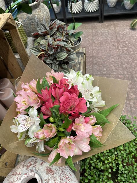 Alstroemeria mix - Saltsjöbadens Blommor