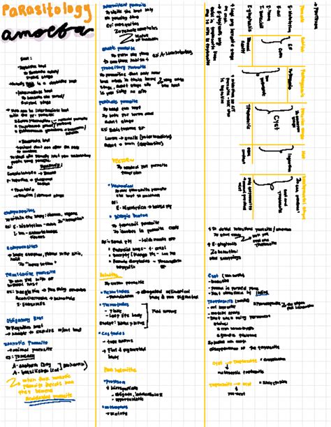 Parasitology Notes Intermittent Parasite I S A Q Q A 0