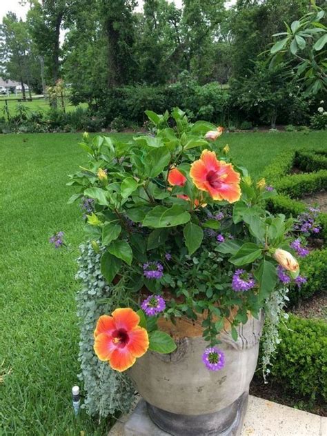 30 Beautiful Summer Container Garden Flower Ideas 30