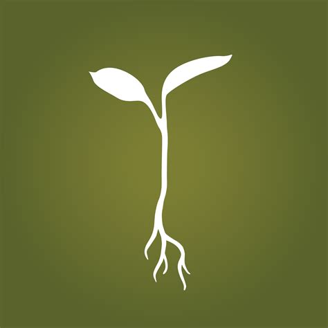 Raw Garden
