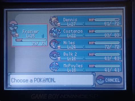 Emerald Nuzlocke And On My Way Towards Flannery Just Realized This Will Be My First Hardcore