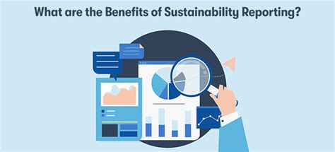 What Is Sustainability Reporting An In Depth Guide Purple