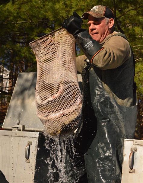 Beaverkill Trout Hatchery