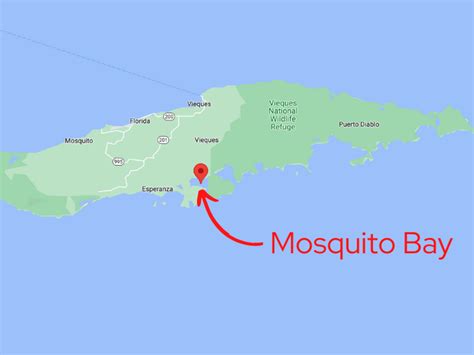 Mosquito Bay In Vieques, Puerto Rico (2024) - All You Need To Know