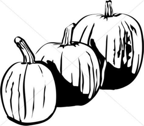 Download High Quality pumpkin clipart black and white patch Transparent ...