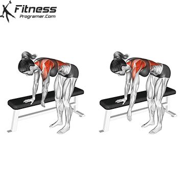 Effective Rotator Cuff Exercises For Stronger Shoulders