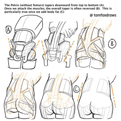 The Instructions For How To Draw An Infant S Car Seat In Three