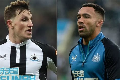 Newcastle's Callum Wilson injury update as Eddie Howe delivers ...